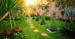 City Garden Tropicana